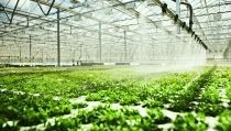 Agricultura apuesta por el agua desalada y la regenerada para los regad&iacute;os andaluces