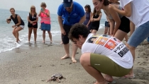 Moj&aacute;car se une a la campa&ntilde;a de concienciaci&oacute;n 'Aqu&iacute; salvamos tortugas'