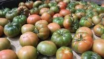 COAG exige la paralizaci&oacute;n inmediata del acuerdo agr&iacute;cola de la UE con Marruecos