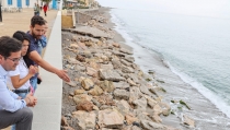 El Ejido exige acciones urgentes y estructurales para la playa de Balerma