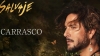 La nueva gira de Manuel Carrasco pasar&aacute; por Vera el pr&oacute;ximo 15 de agosto