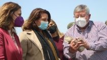101 especies de ave paran en los humedales andaluces durante el invierno
