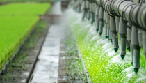 Agricultura convoca 18 millones en ayudas a Grupos Operativos de Innovaci&oacute;n agroalimentaria