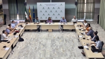 La Mesa de Interlocuci&oacute;n Agraria andaluza acuerda pedir ayudas para el olivar