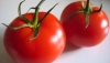 El coste medio de producci&oacute;n de tomate en invernadero aumenta un 34% en dos campa&ntilde;as