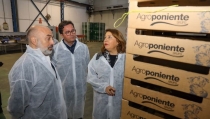 Crespo pone en valor la vocaci&oacute;n exportadora del sector hortofrut&iacute;cola