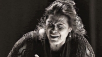 El Festival de Flamenco y Danza de Almer&iacute;a arranca esta semana con Plazeando