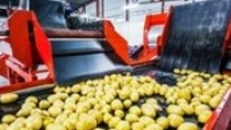 Andaluc&iacute;a exporta en el primer semestre del a&ntilde;o 21.337 millones de euros