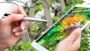 M&aacute;s de 800 pymes se benefician de los servicios de Andaluc&iacute;a Agrotech
