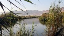 El R&iacute;o Adra y la Albufera, catalogados como lugares de importancia comunitaria