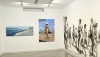 M&aacute;s de 30 obras de la I Feria de Arte ALMA se expone en el Museo Do&ntilde;a Pakyta