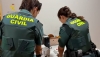 Dos investigados en Roquetas de Mar por falsificaci&oacute;n de documentos p&uacute;blicos