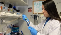 La UJA identifica un compuesto del olivo que mejora la recuperaci&oacute;n tras un ictus