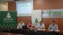 Aumentan la producci&oacute;n y la superficie en Almer&iacute;a mientras los precios siguen cayendo