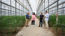 Almer&iacute;a se promocionar&aacute; en Fruit Logistica como capital de la gastronom&iacute;a verde