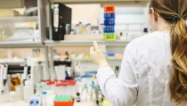 El personal dedicado a la investigaci&oacute;n sigue aumentando en Andaluc&iacute;a