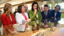 El yacimiento arqueol&oacute;gico Barrio Andalus&iacute; de Almer&iacute;a abre sus puertas