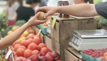 Consumo inspecciona el etiquetado de alimentos en tiendas y mercados de Andaluc&iacute;a