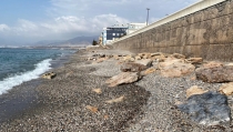 Ocho espigones y aportaci&oacute;n de arena para estabilizar la playa de Balerma