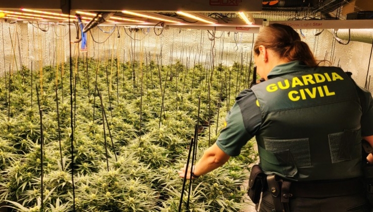 Desmantelan en Adra un cultivo 'indoor' de marihuana con 400 plantas