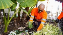 El Ejido embellece sus zonas verdes con nuevas flores y plantas