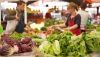Las exportaciones agroalimentarias andaluzas a Europa superan los 5.500 millones
