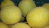 ASAJA Almer&iacute;a calcula que habr&aacute; un 15% menos de superficie de mel&oacute;n y sand&iacute;a en invernaderos