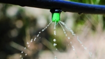 40,5 millones para impulsar el uso eficiente del agua y la energ&iacute;a en el campo