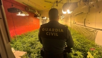 Desmantelan un cultivo con cerca de 4.000 plantas de marihuana en V&iacute;car