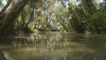Andaluc&iacute;a atendi&oacute; m&aacute;s de 50.800 consultas de tipo medioambiental en 2023