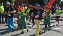 La XVI San Silvestre de Albox tendr&aacute; lugar el pr&oacute;ximo 26 de diciembre