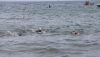 La playa de Poniente acoger&aacute; este domingo el V Acuatl&oacute;n de Almerimar