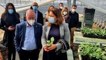 100 millones en ayudas para la modernizaci&oacute;n de explotaciones agrarias