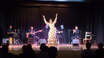El Circuito Provincial de Flamenco recorrer&aacute; ocho municipios almerienses