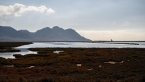 La Junta destinar&aacute; este año un millón de euros a mejorar Las Salinas de Cabo de Gata