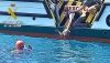 La tortuga boba Paqui regresa al mar tras recuperarse de una neumon&iacute;a
