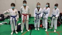 El &lsquo;Club 301 Team&rsquo; de taekwondo, 16 medallas en la Copa Federaci&oacute;n Andaluc&iacute;a