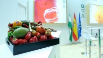 Almer&iacute;a lidera la presencia en Fruit Attraction de Andaluc&iacute;a, regi&oacute;n invitada de la feria
