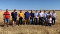 ASAJA Almer&iacute;a prev&eacute; una ca&iacute;da del 25% en la cosecha de cereales en la provincia