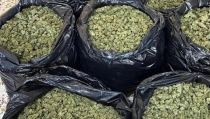 Interceptan en Matagorda un transporte con m&aacute;s de 70 kilos de marihuana