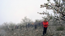SENDERISMO: Benizal&oacute;n y Tahal, paisajes m&aacute;gicos en las Rutas del Almendro en Flor Filabres Alhamilla - Nacimiento 2026