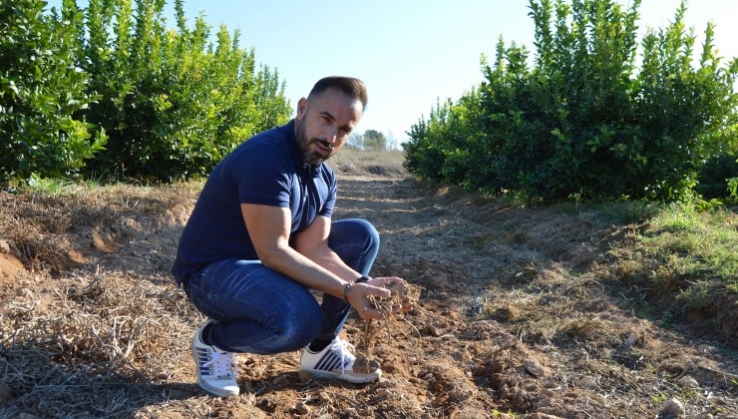 Campojoyma extiende el cultivo de sand&iacute;a ecol&oacute;gica hasta octubre