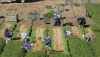 Andaluc&iacute;a solicita una reducci&oacute;n de un 35% en los m&oacute;dulos de IRPF para todas las producciones agr&iacute;colas