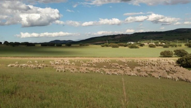 Los agricultores alertan de que la nueva PAC supondr&aacute; la 'uberizaci&oacute;n' del campo espa&ntilde;ol