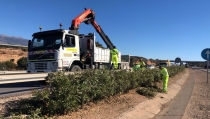 El Gobierno destinar&aacute; 31,2 millones de euros al contrato de conservaci&oacute;n de carreteras en Almer&iacute;a