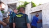 Descubren cerca de 500 plantas de marihuana en dos operaciones en G&eacute;rgal
