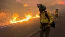 Al menos once v&iacute;ctimas mortales en el incendio forestal de Los Gallardos