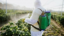 Las principales empresas de sanidad vegetal participar&aacute;n en Infoagro Exhibition