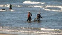 Andaluc&iacute;a destina m&aacute;s de 3,2 millones a ayudas para compensar las vedas de pesca y marisqueo