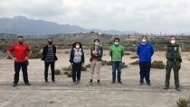 Realizan un censo del garbancillo en las salinas de San Juan de los Terreros